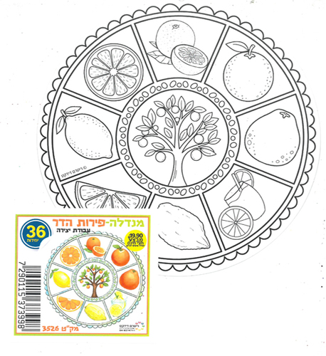 36 יצירה לצביעה מנדלה פירות הדר