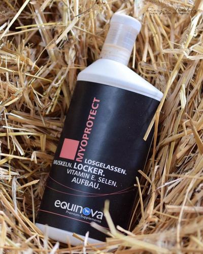Equinova® Myoprotect – תוסף שרירים וסיבולת לסוסים