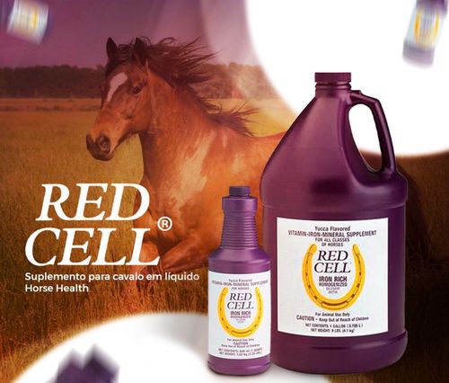  Red Cell 3.8L – תוסף ברזל וויטמינים מחזק לסוסים | אנרגיה, דם ובריאות כללית