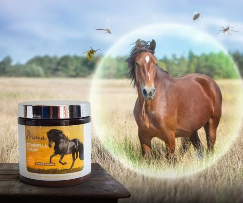  Prima Citronella Cream – קרם ציטרונלה להגנה מפני יתושים וזבובים לסוסים