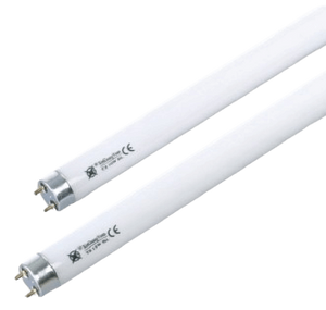 נורת פלורסנט 55 ס"מ 14W - T5 (אור לבן)
