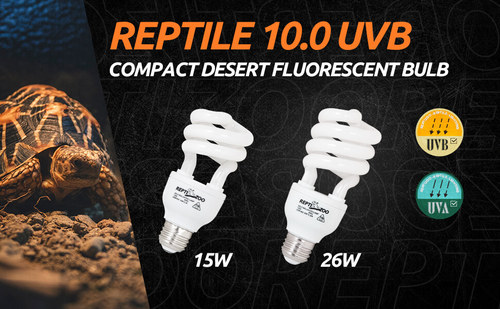 נורת UVB מדברית 10.0 של Reptizoo