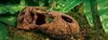 ExoTerra T-Rex Skull Fossil Hide Out – מסתור בעיצוב גולגולת פרהיסטורית