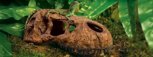 ExoTerra T-Rex Skull Fossil Hide Out – מסתור בעיצוב גולגולת פרהיסטורית