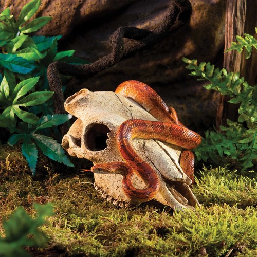 Buffalo Skull Decoration ExoTerra – דקורציית גולגולת בופאלו
