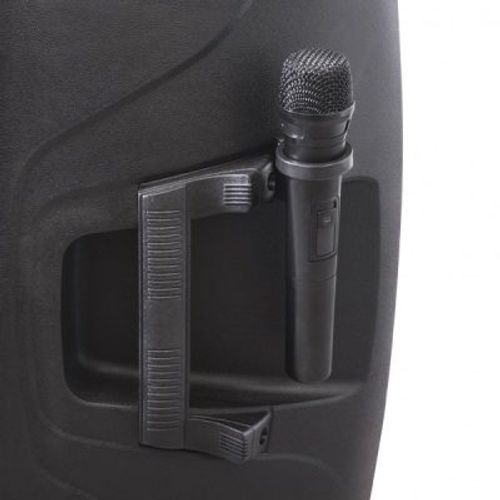 ‏בידורית קריוקי Pure Acoustics PMW-3012