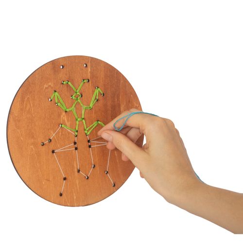 ריקמה על עץ – חרקים