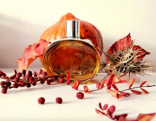 בושם לאישה Hermes Barenia  Intense EDP 100ml