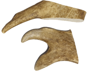 קרן יחמור בינונית 75-150 גרם - ANTLERS M