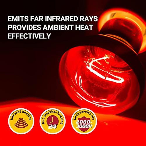 נורת אינפרא אדום לחימום ממוקד לזוחלים – Repti Zoo Infrared Basking Spot 100W