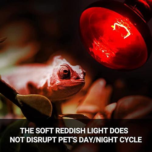 נורת אינפרא אדום לחימום ו-Basking – Repti Zoo Infrared Basking Spot 75W