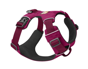 רתמת NEW FRONT RANGE HARNESS ראפוואר בצבע PINK HIBISCUS