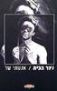 נער הבית (יד 2)- אנטוני שר