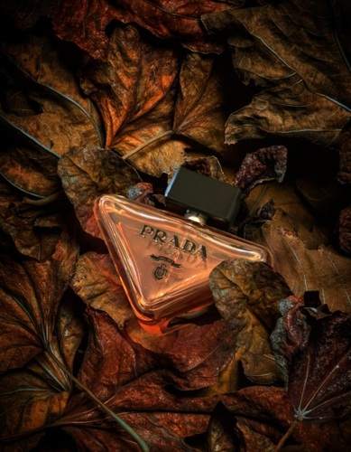 בושם לאישה Prada Paradoxe  EDP 90 ml