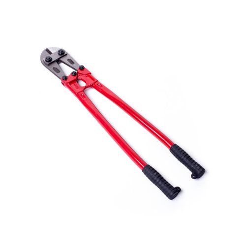 תוכי חותך ברזל 