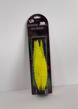 צמח דקורציה