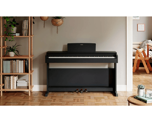 ‏פסנתר חשמלי 88 קלידים צבע שחור Yamaha Arius YDP-145Bברפאלי - refali.co.il