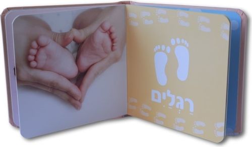 הספר הראשון שלי - הגוף שלי