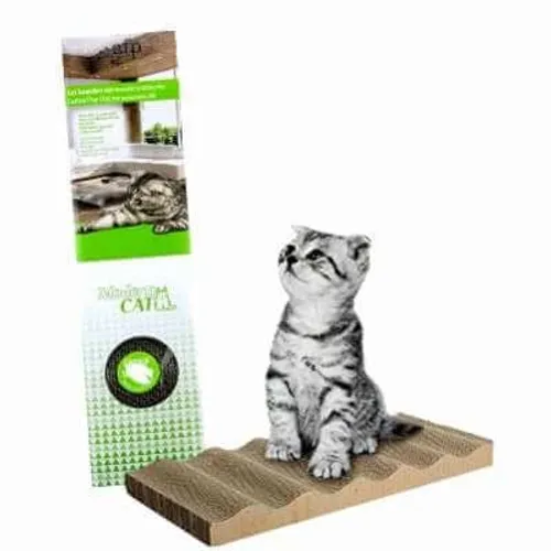 קרטון גירוד AFP צר 50 סמ