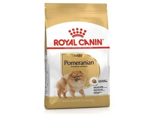 רויאל קנין פומרניאן בוגר 3 ק