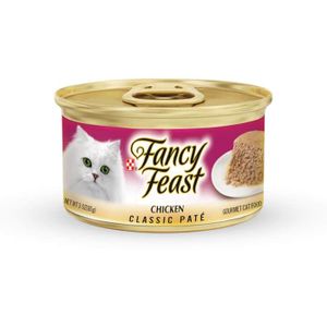 פנסי פיסט עוף פטה