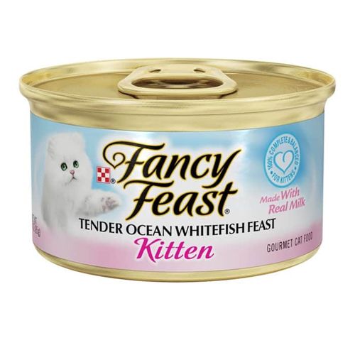 פנסי פיסט מעדן דגי אוקינוס קיטן פטה