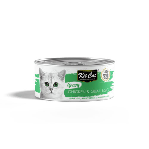 קיט קט שימור עוף וביצי שליו 70 גרם