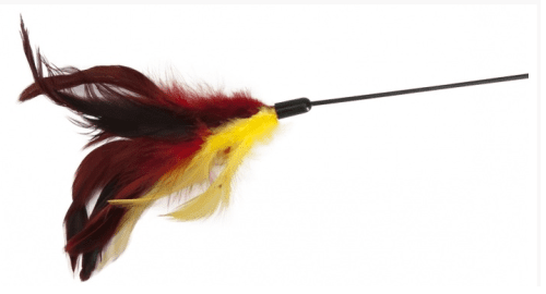 מקל עם נוצות