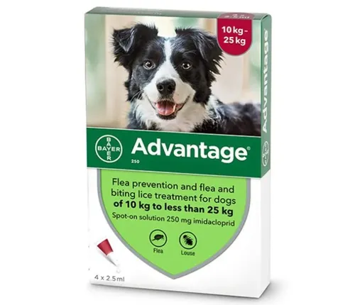 אדוונטג' אמפולות לכלב במשקל 10-25 ק