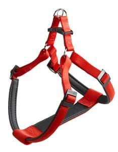 ריתמה DAYTONA P אדום