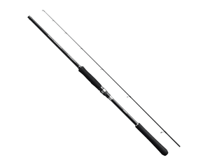  Shimano Salty Advance Shore Jigging Rod S96MH 20-60g max 80g