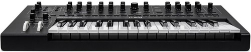 זווית נוספת moog - messenger analog synthesizer with keyboard