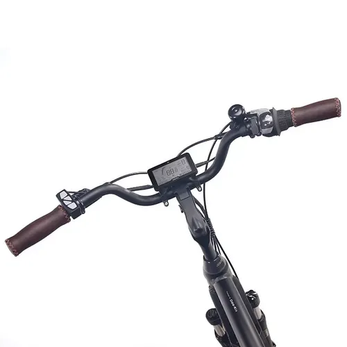 NCM– Cruz7
