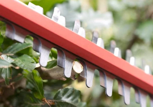 גוף גוזם גדר חיה חשמלי נטען 20V אורך להבים 55 ס
