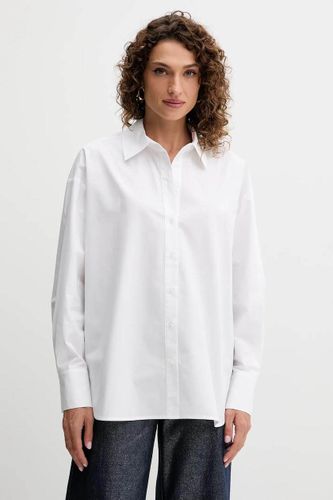 Women shirt butterfly