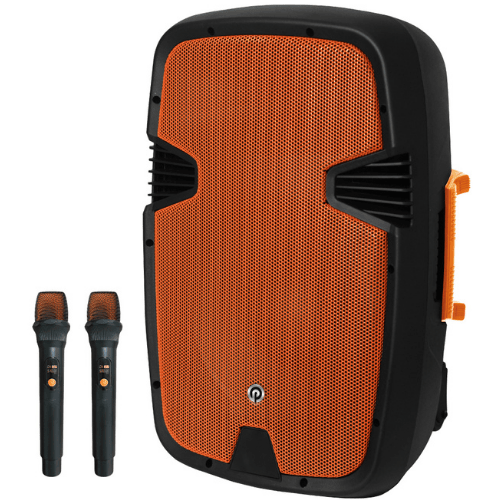 בידורית עם 2 מיקרופנים אלחוטיים 12 אינץ' Pure Acoustics PMW-4412 500W