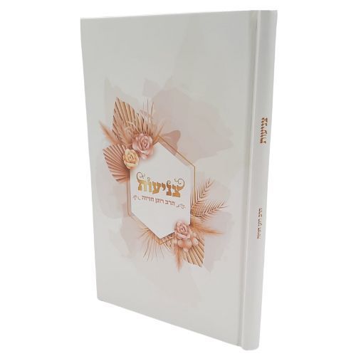 צניעות - הרב רונן חזיזה