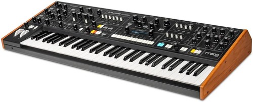 זווית נוספת moog - muse analog synthesizer