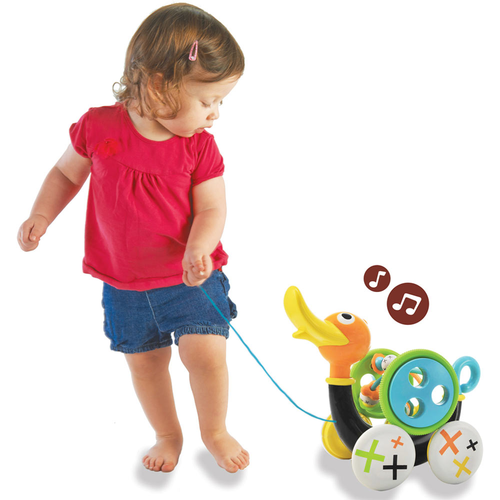 מעודד הליכה הברווז השורק 3