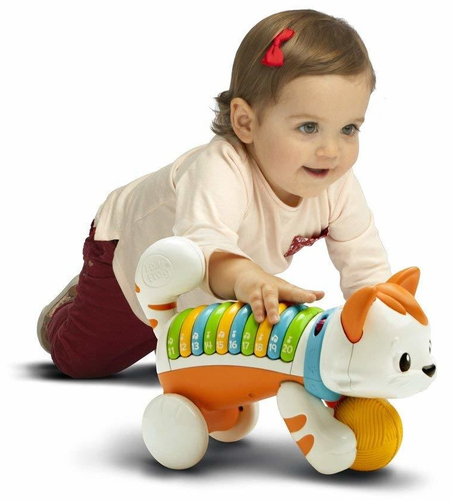 חתול לימוד מספרים  2