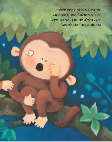 ספר ילדים - קוף היום וקופת הלילה / ג'וליה דונלדסון 2