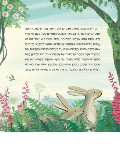 ספר ילדים - ארנב הקטיפה / מרג’רי ויליאמס 3