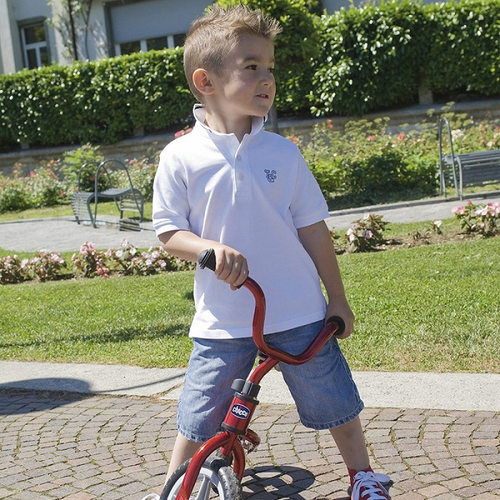 אופני איזון Balance Bike עם מצבי גובה במושב ובכידון - אדום 2