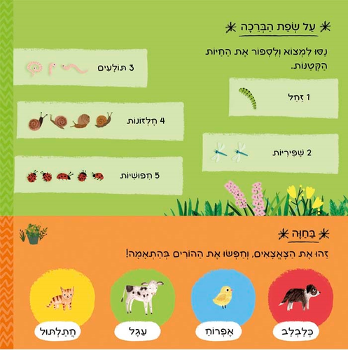 ספר הפעלה לילדים - יש כאן 101 בעלי חיים 4