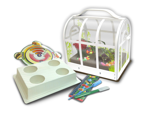 ערכת משחק ולימוד לבניית חממה DIY ושתילת צמחים עם מגוון אביזרי ניסוי   1