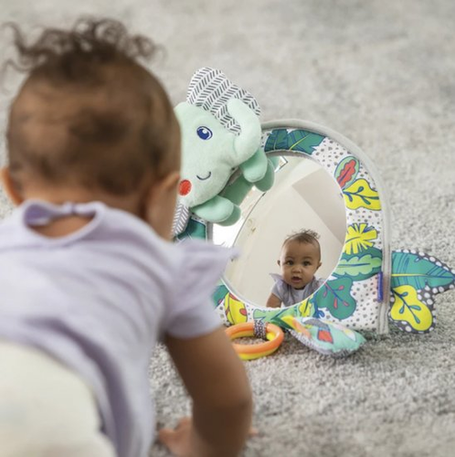 מראת פעילות פיל עגולה בשילוב צורות תלת מימד  2