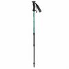 מקל הליכה יחיד Masters Scout arctic bue/blue