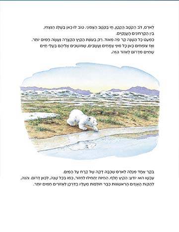 ספר ילדים - דב קוטב קטן מציל את אילי הצפון / הנס דה ביר 2