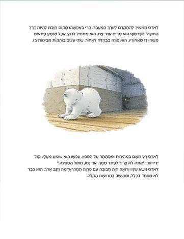 ספר ילדים - דב קוטב קטן בוא מהר בחזרה! / הנס דה ביר 2