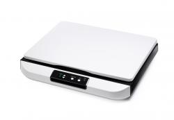סורק Avision FB5000 A3
